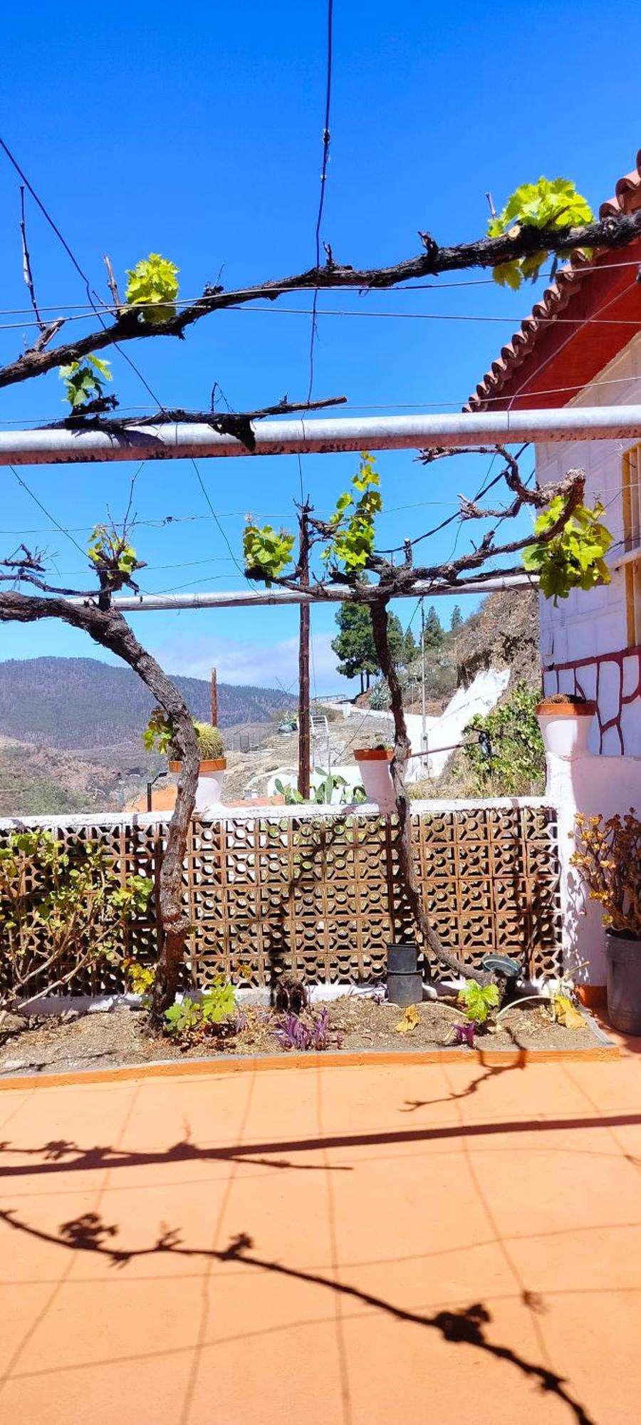 Juncalillo Casa Cueva Rural Trebola, Artenara מראה חיצוני תמונה